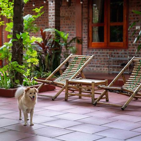 Tam Family Homestay Ниньбинь Экстерьер фото