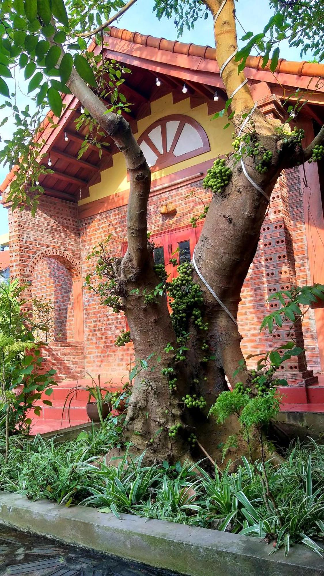 Tam Family Homestay Ниньбинь Экстерьер фото