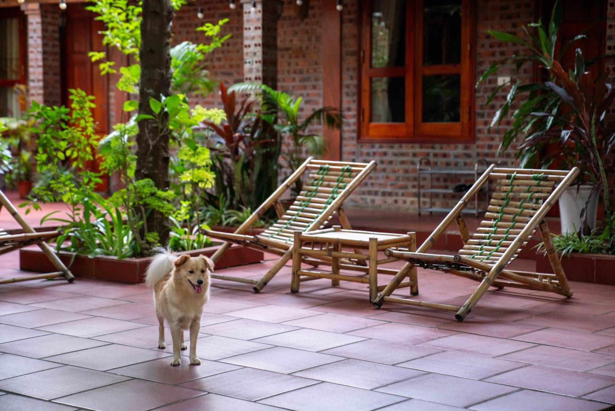 Tam Family Homestay Ниньбинь Экстерьер фото